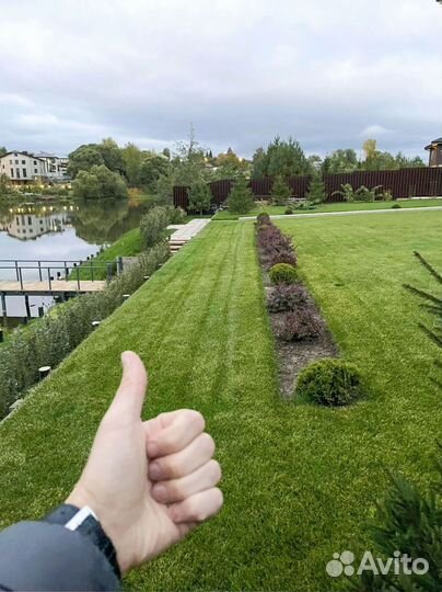 Рулонный газон: производство, доставка, укладка