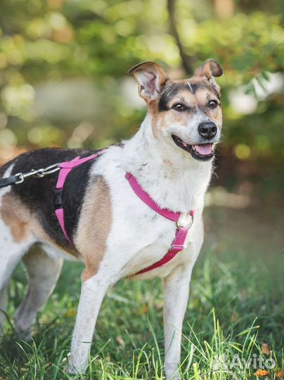 Ласковая девочка ждёт