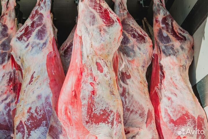 Мясо говядина, баранина домашняя