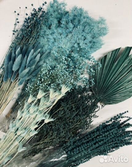 Сухоцветы и стабилизированные растения в наличии