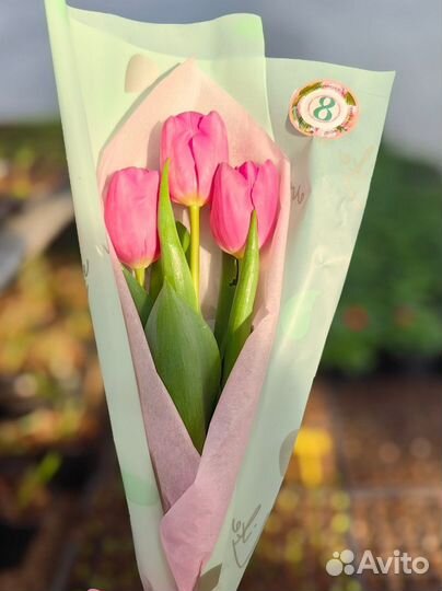 Тюльпаны букет розница