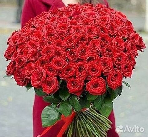Розы Букеты Цветы Розы 31 101 151 201 Доставка