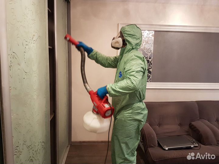 Травля тараканов, уничтожение клопов, дезинфекция
