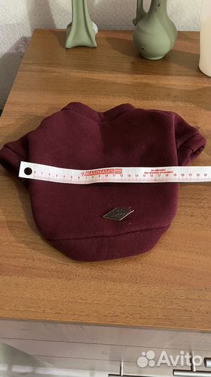 Одежда для собак