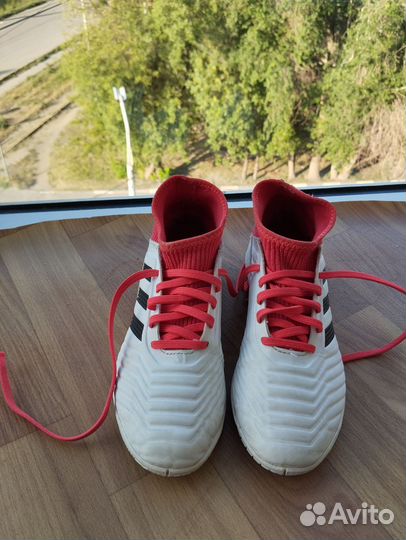 Футзалки adidas predator