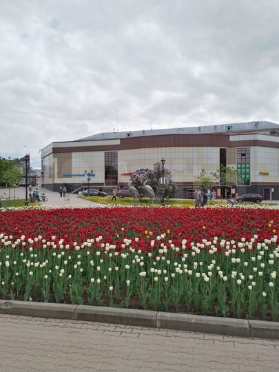 Торговая площадь, 3597 м²