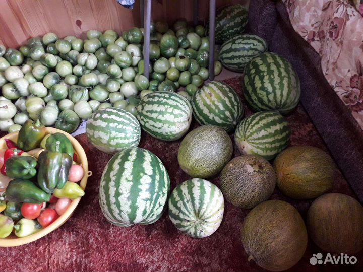 Рассада разная