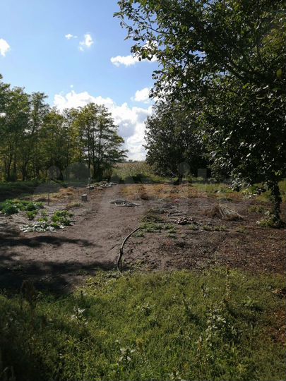 Дом 38,7 м² на участке 12,1 сот.