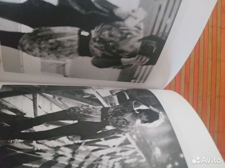 Сола Монова 