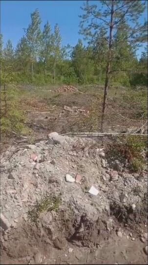 Участок 10 сот. (СНТ, ДНП)