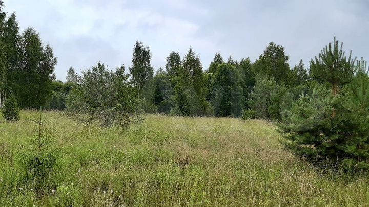 Участок 10 сот. (ИЖС)