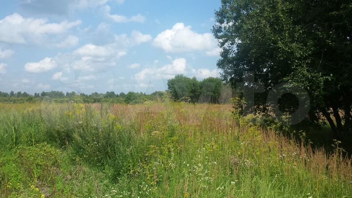 Участок 97,44 га (СНТ, ДНП)