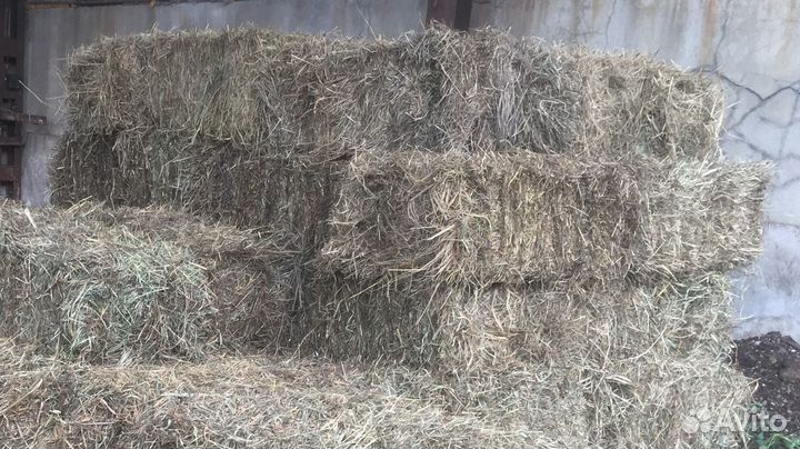 Сено в тюках, доставка