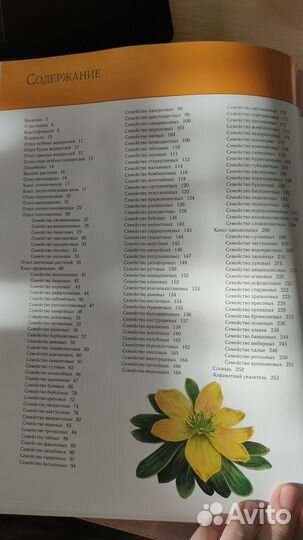 Энциклопедия растения