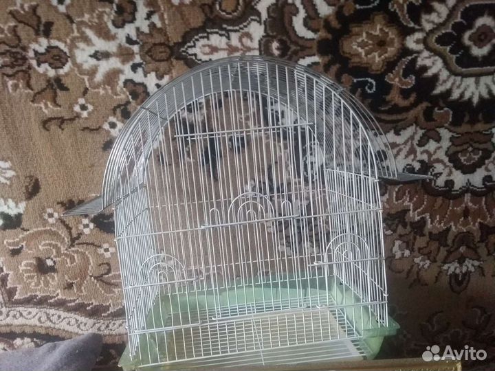 Клетка для попугая