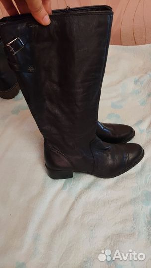 Сапоги женские
