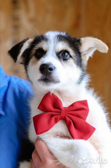 Малышка ждет маму