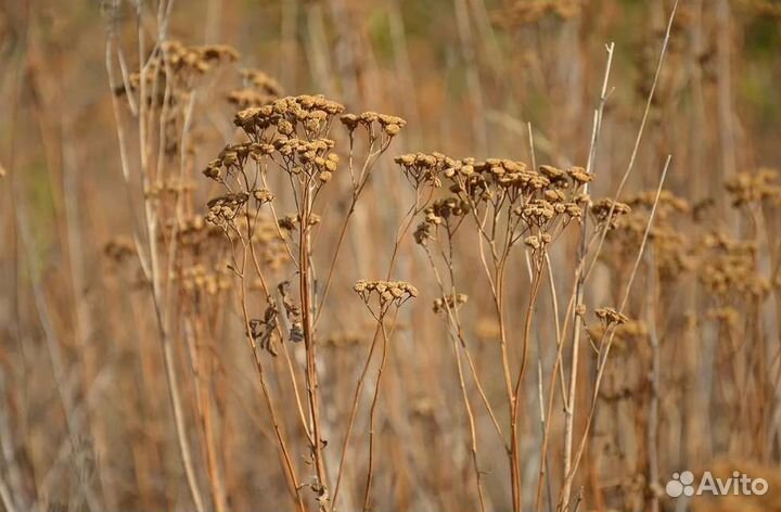 Зеркальный фотоаппарат nikon