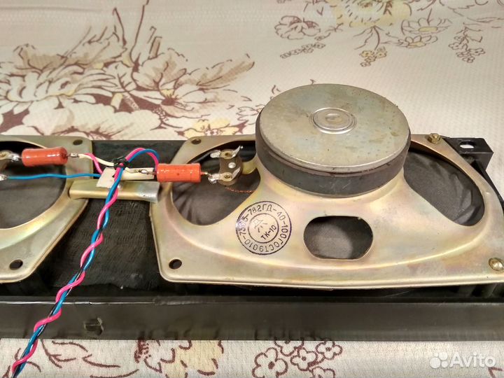 Два динамика 2гд-40-100 установленные на панель