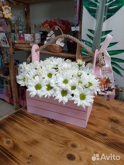 Ящик с цветами, хризантема ромашковая