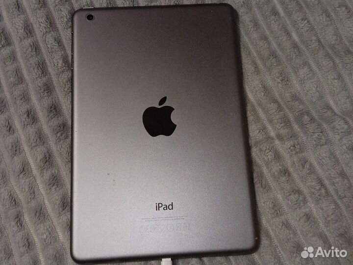 iPad mini 2