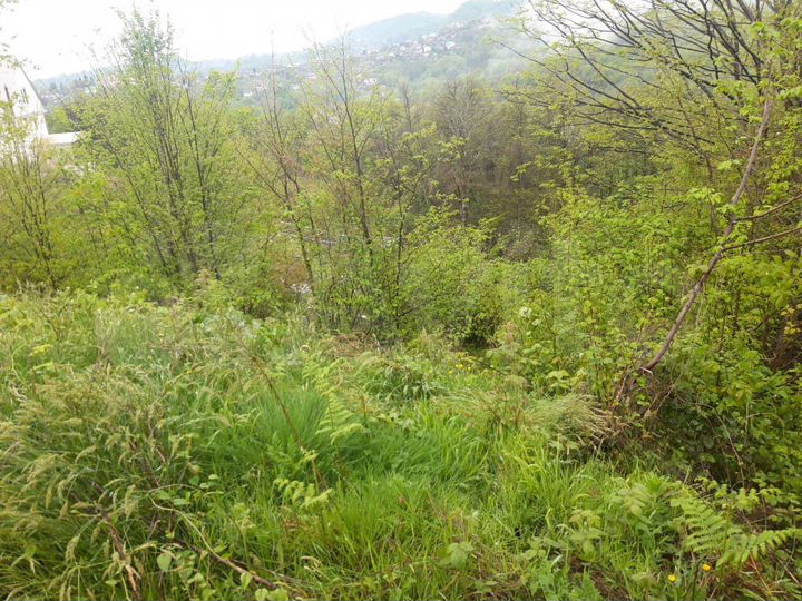 Участок 5 сот. (ИЖС)