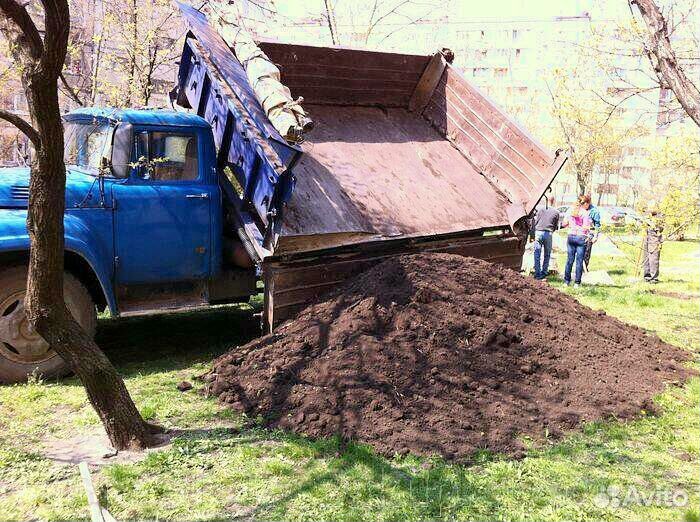 Плодородная земля, почва