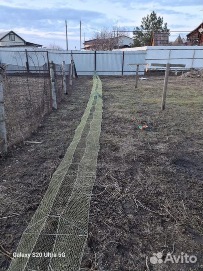 Раколовки дорожки