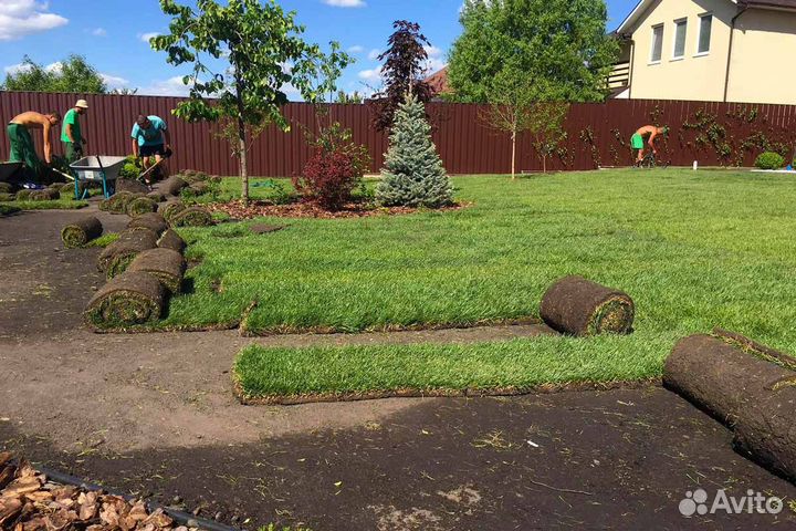 Рулонный газон с доставкой и укладкой