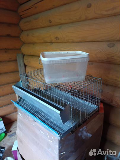 Клетки для перепелов бу