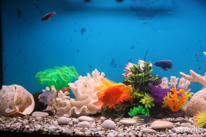 Аквариум Ferplast Cayman 110 Scenic+JBL1901
