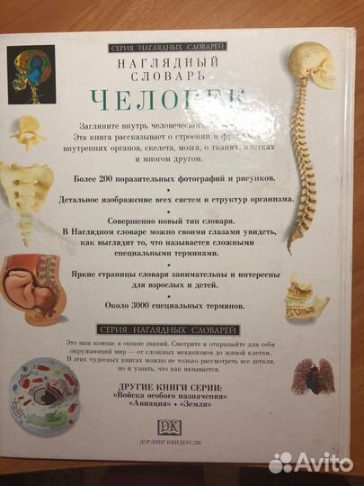 Наглядный словарь Человек