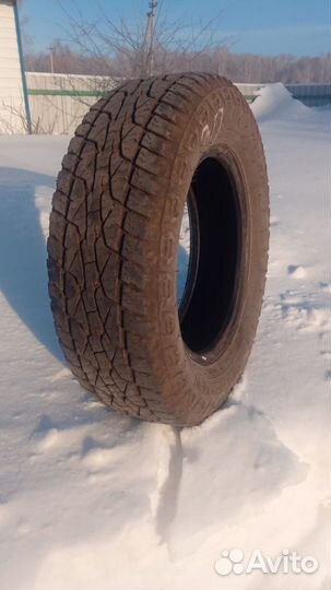 Maxxis AP2 All Season 205/70 R15