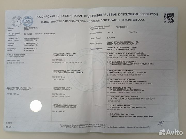 Вязка кобель Сиба