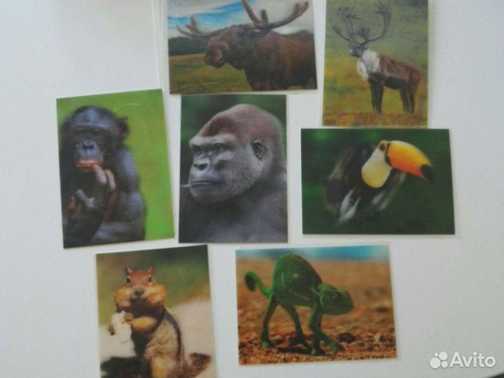 Стерео открытки немецкие