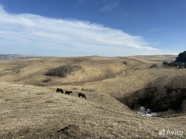 Экскурсии на джилысу