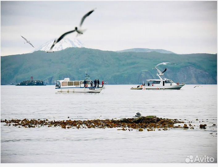 Морские прогулки