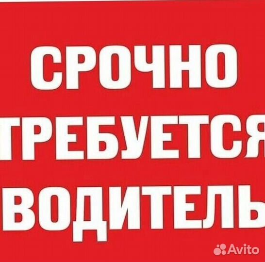 Водитель в компанию