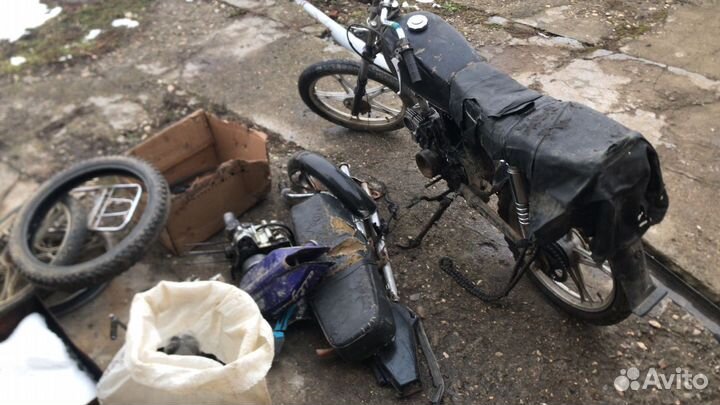 Продам альфу