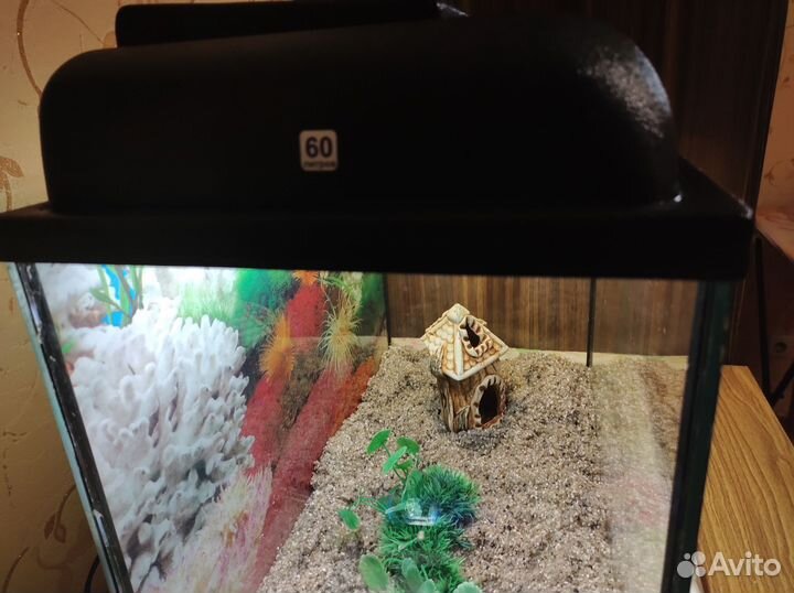 Аквариум на 60 литров