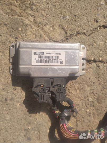 Коса лада калина