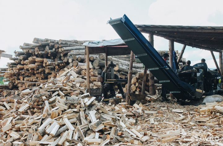 Дрова береза