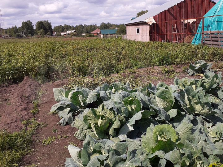 Участок 9,7 сот. (СНТ, ДНП)