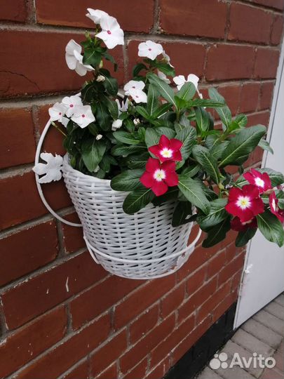 Белое кашпо из искусственного ротанга 5л