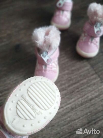 Ботинки собачьи