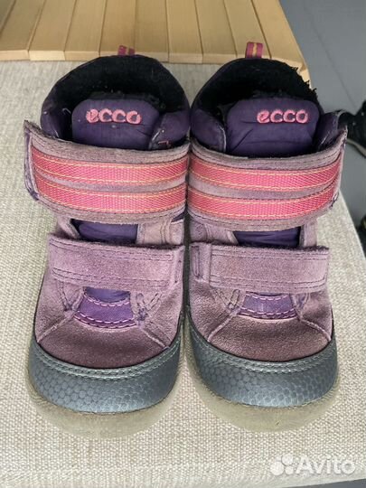 Ecco biom gore tex 26