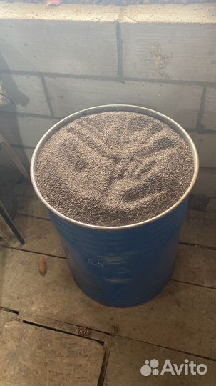 Продам.Семена ели