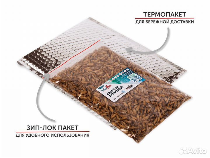 Сверчки домовые замороженные, корм для стрижей