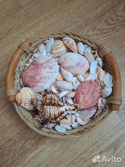 Корзинка с ракушками с персидского залива