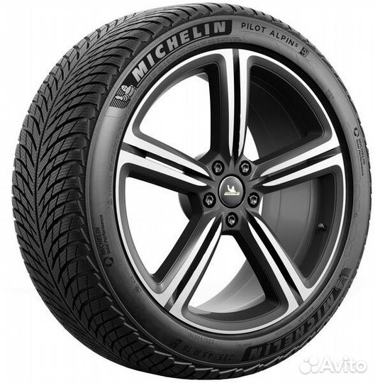 Michelin Pilot Alpin 5 255/35 R21